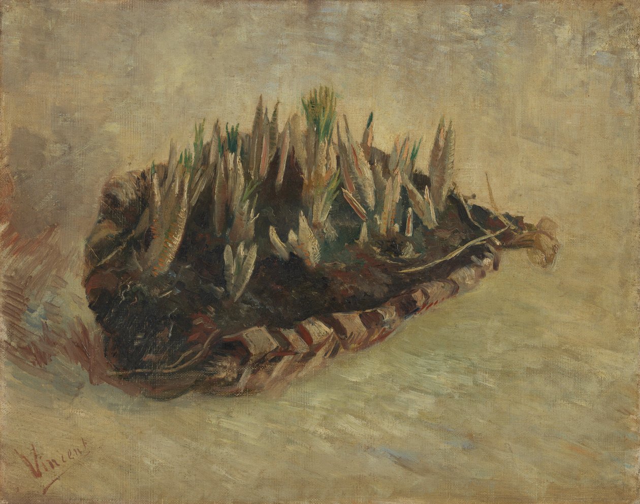 Cesto di bulbi di croco da Vincent van Gogh
