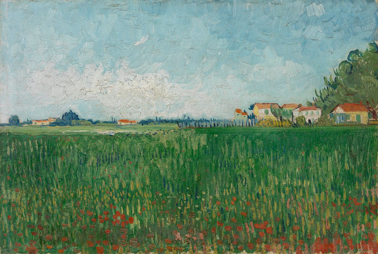 Campo con papaveri da Vincent van Gogh