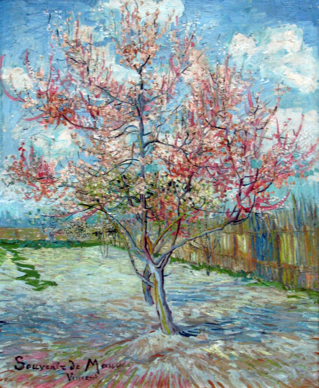 Peschi rosa (Souvenir de Mauve) da Vincent van Gogh