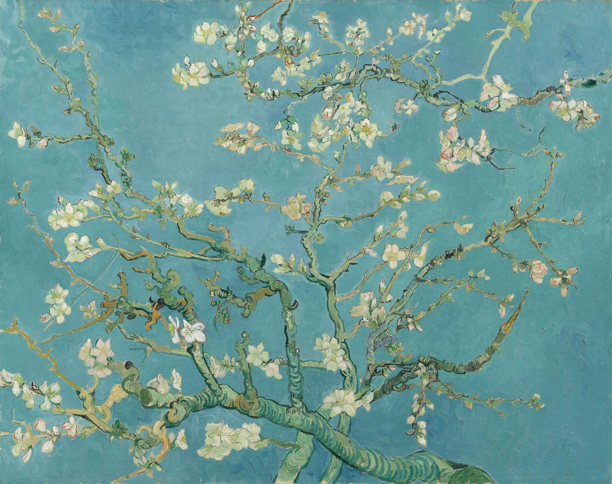 Fioritura di mandorli da Vincent van Gogh