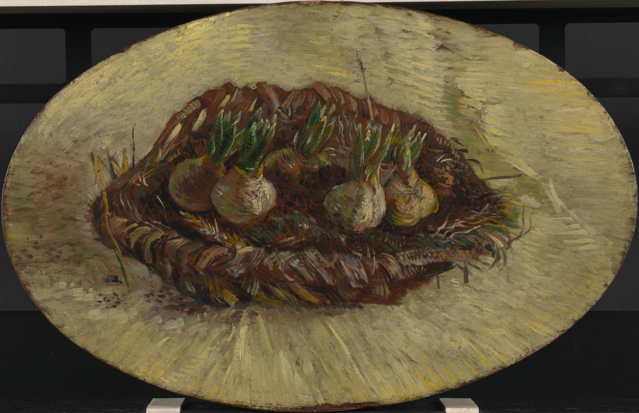 Cesto di bulbi di giacinto da Vincent van Gogh