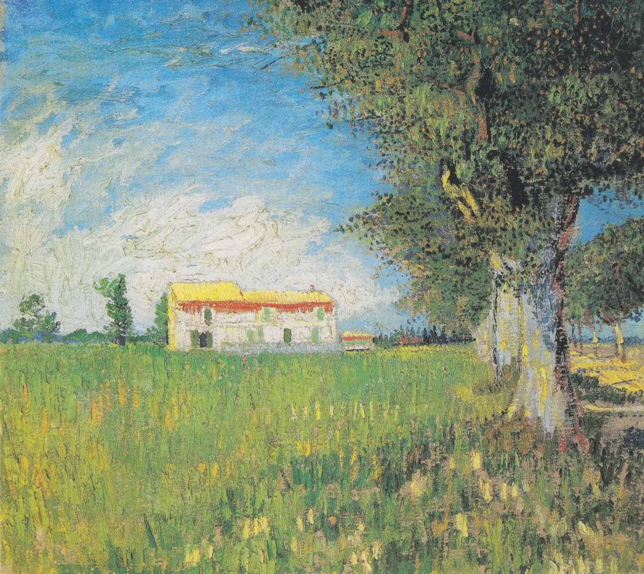 Cascina in un campo di grano da Vincent van Gogh