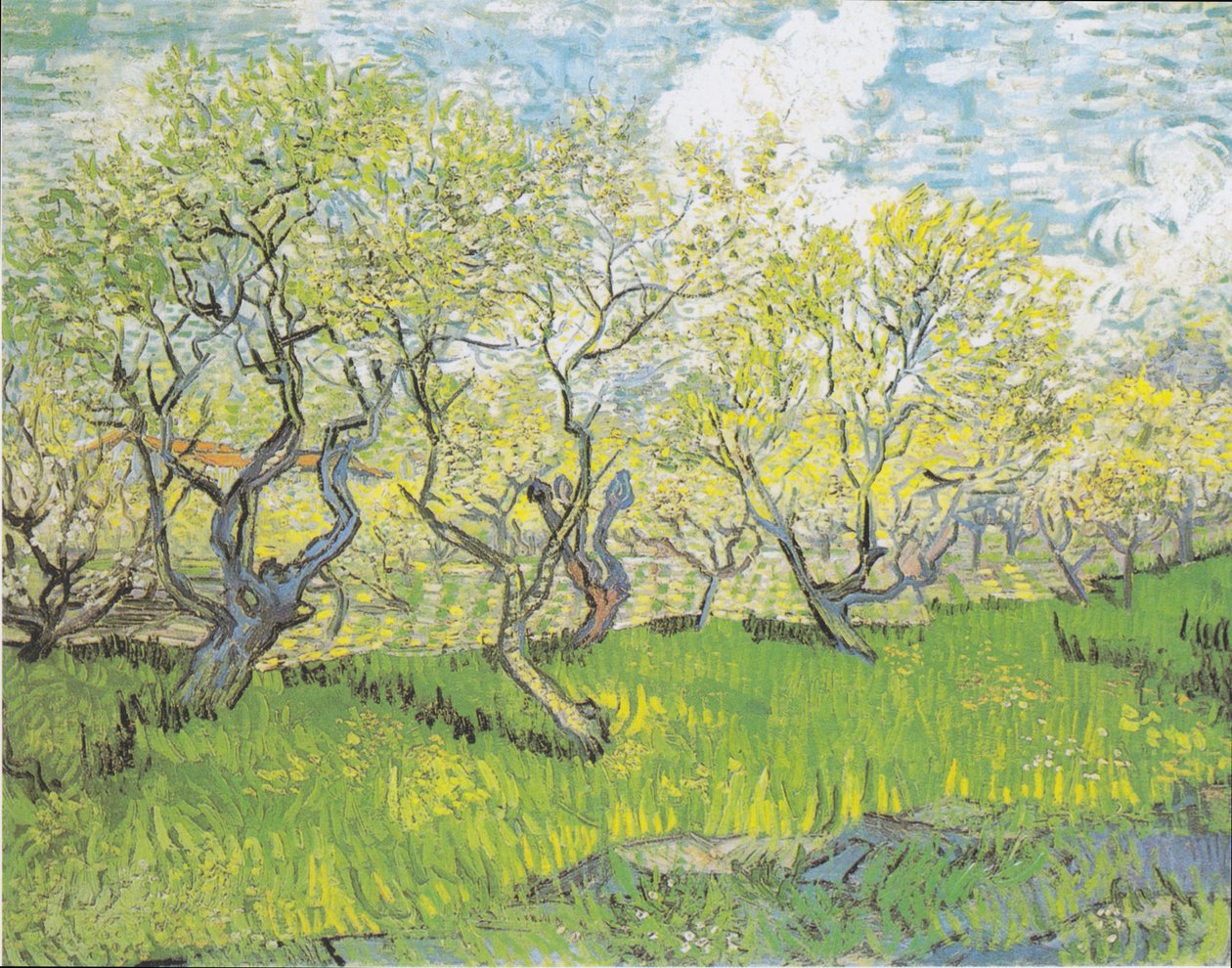 Frutteto in fiore da Vincent van Gogh