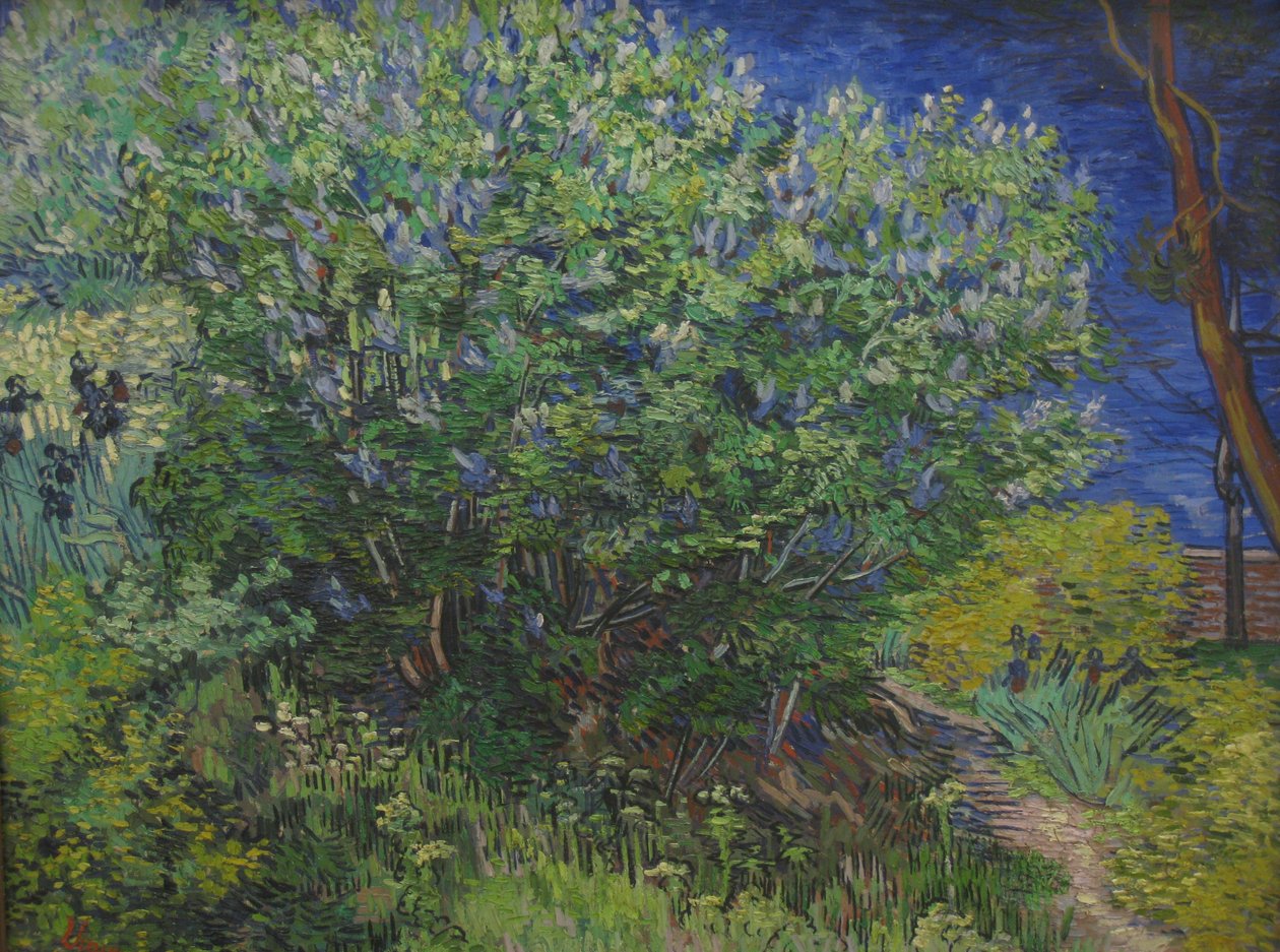 Cespuglio da Vincent van Gogh
