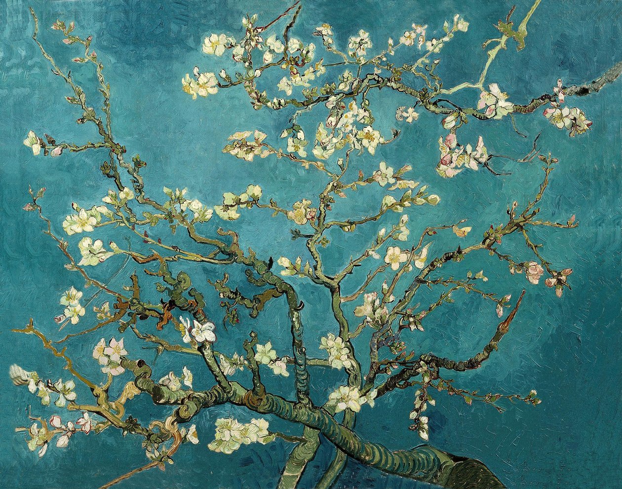 Fiori di mandorlo da Vincent van Gogh
