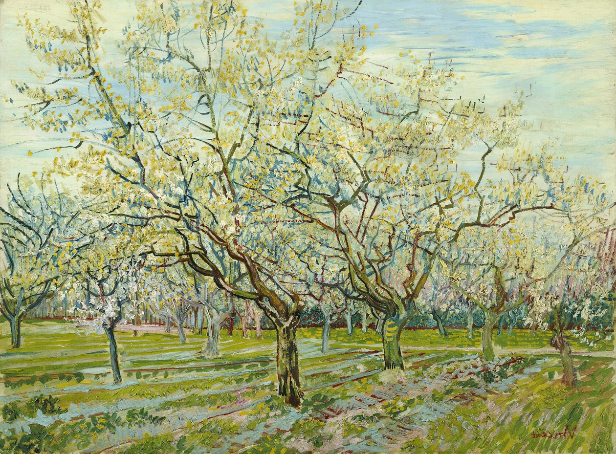Il frutteto bianco da Vincent van Gogh