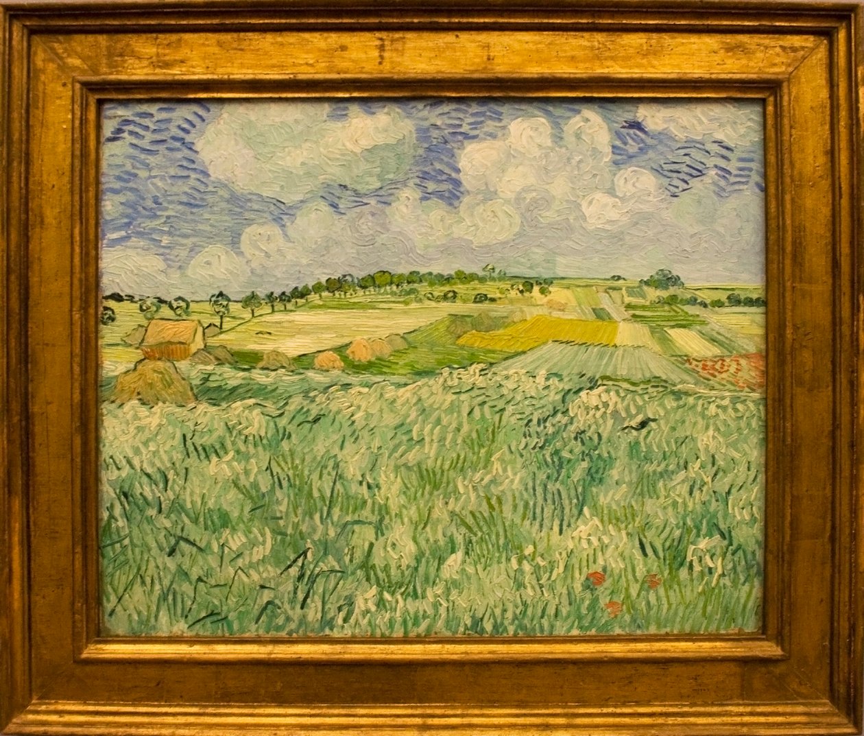 Pianura presso Auvers da Vincent van Gogh