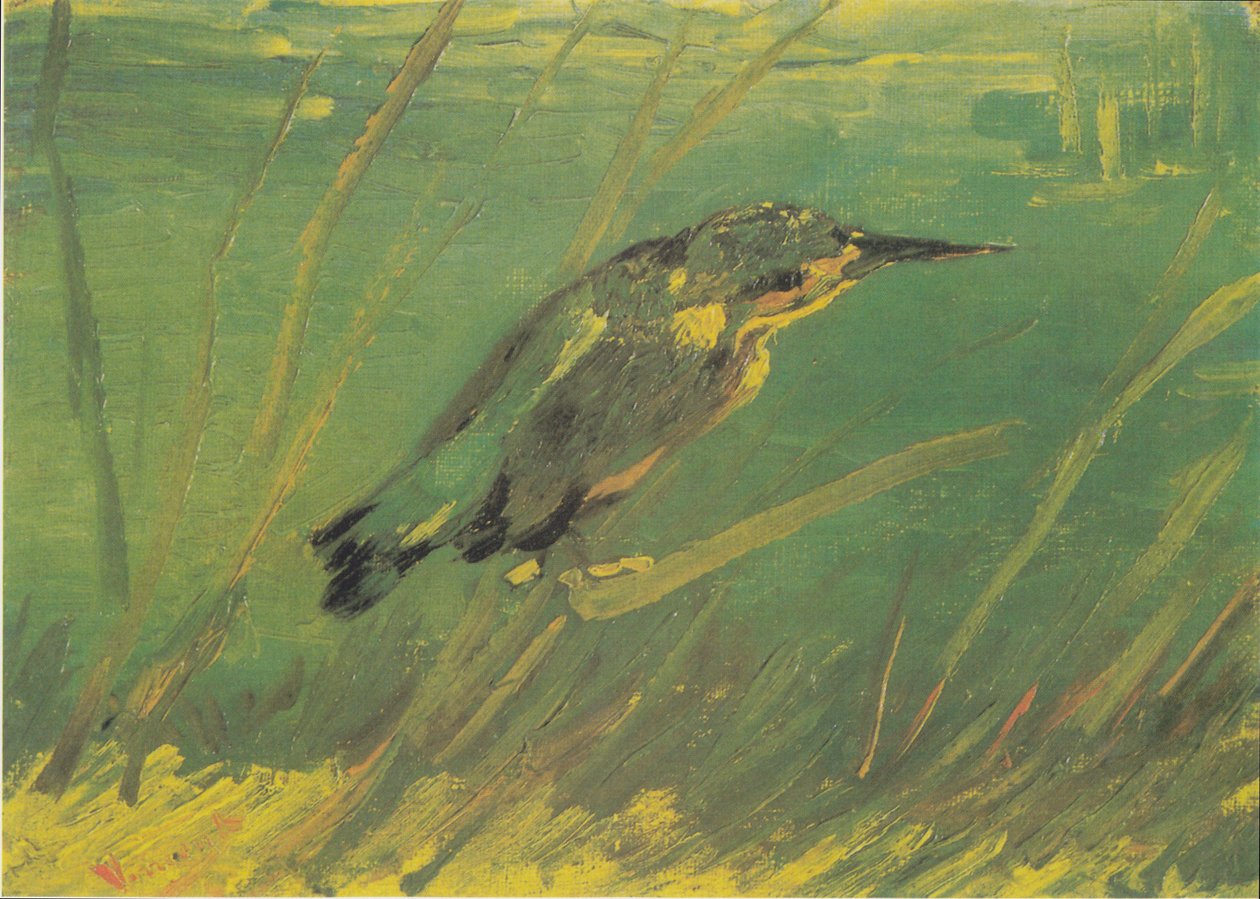 Martin pescatore da Vincent van Gogh