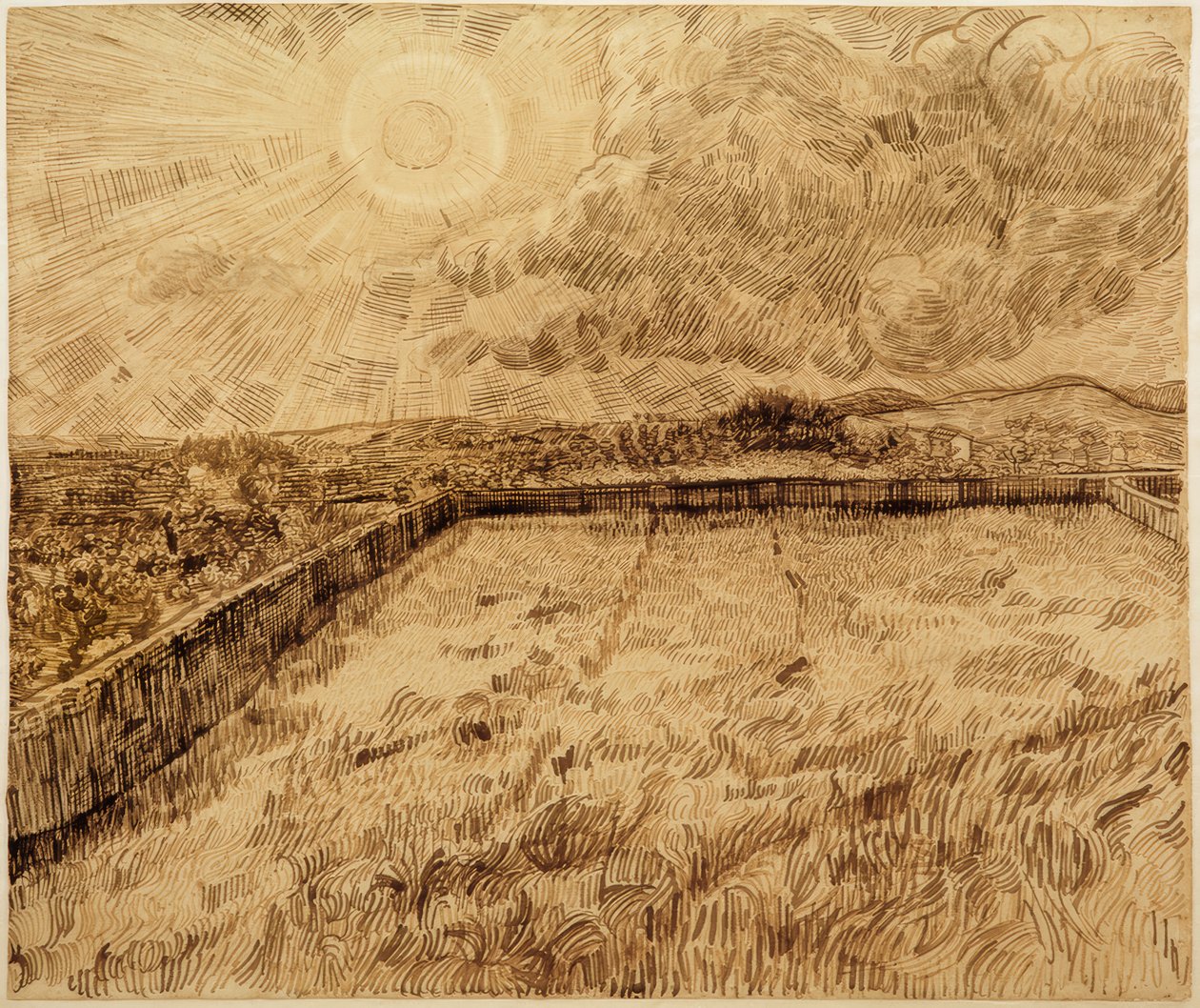 Campi e ulivi da Vincent van Gogh