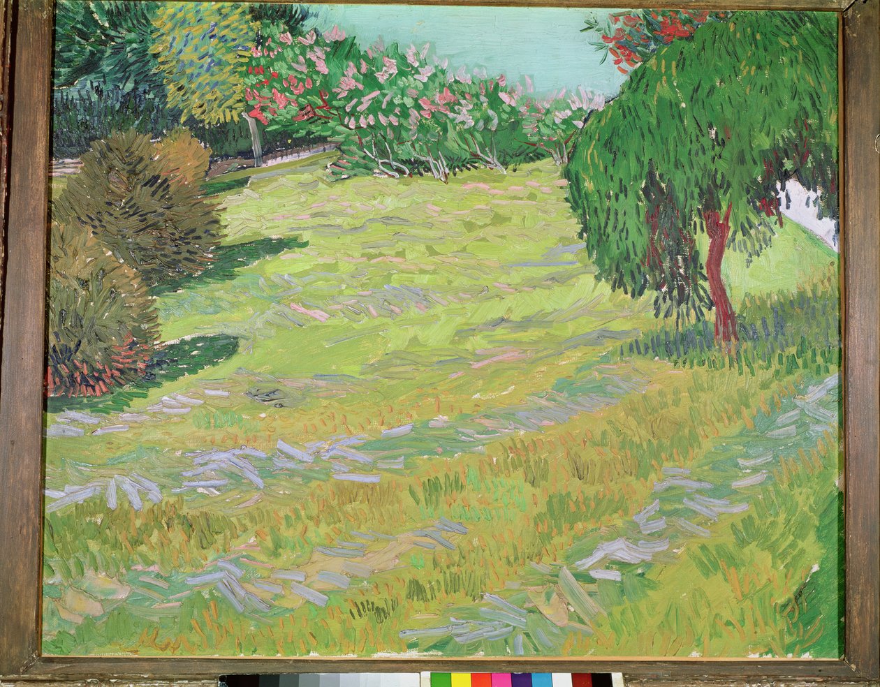 Campo con salice piangente, 1888 da Vincent van Gogh
