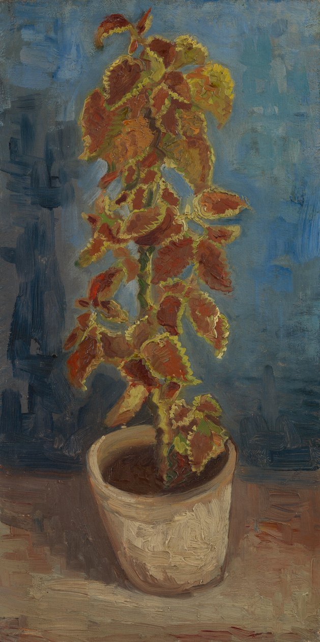 Ortica fiammeggiante in un vaso di fiori da Vincent van Gogh
