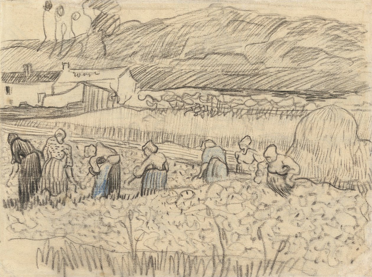 Paesaggio con contadine che raccolgono da Vincent van Gogh
