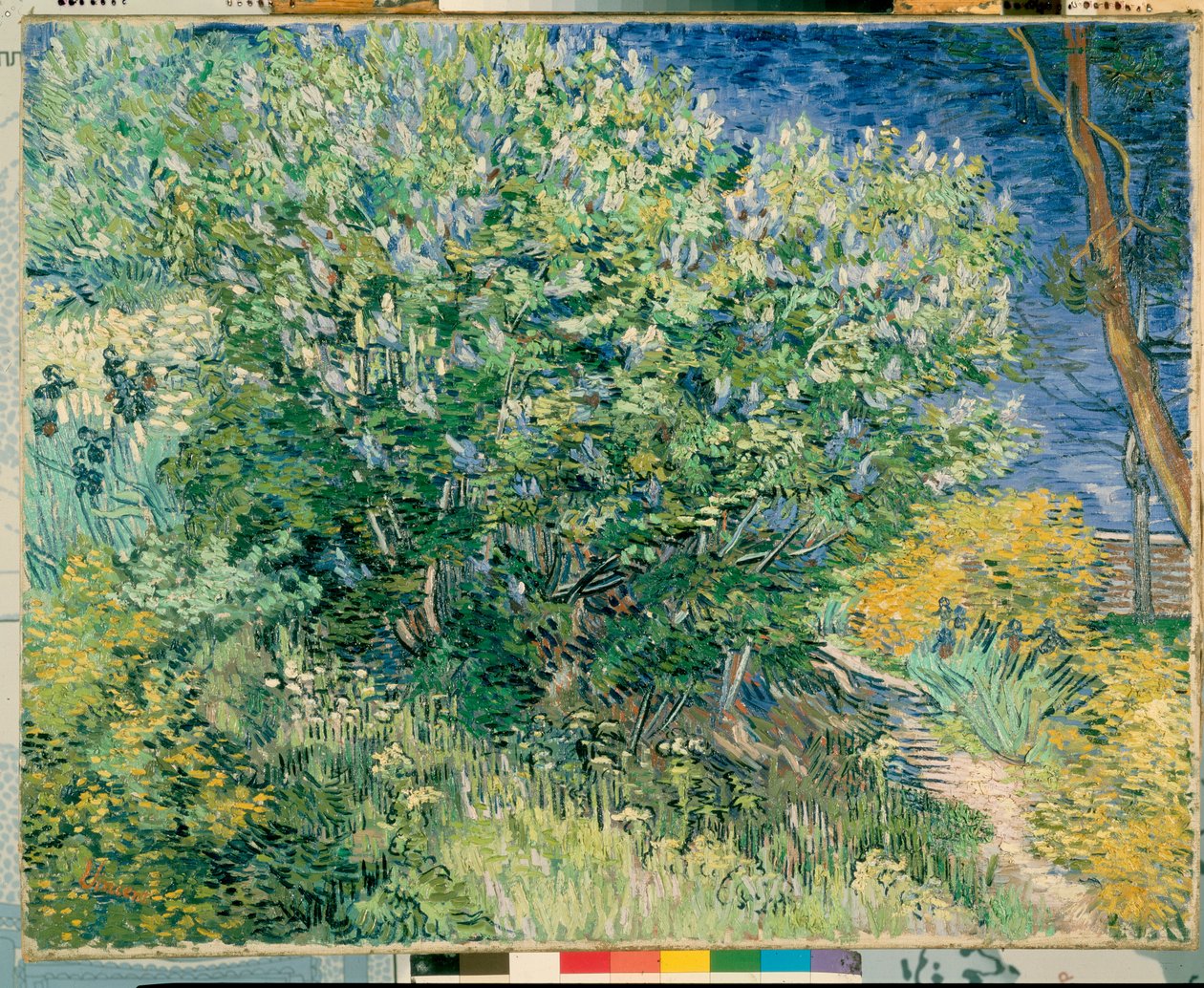 Cespuglio di lillà da Vincent van Gogh
