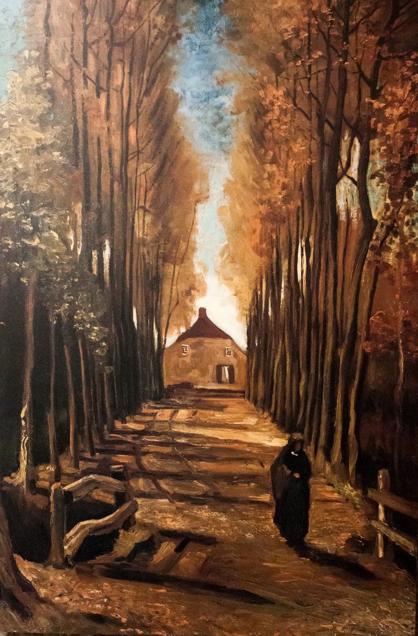Il mio sogno da Vincent van Gogh