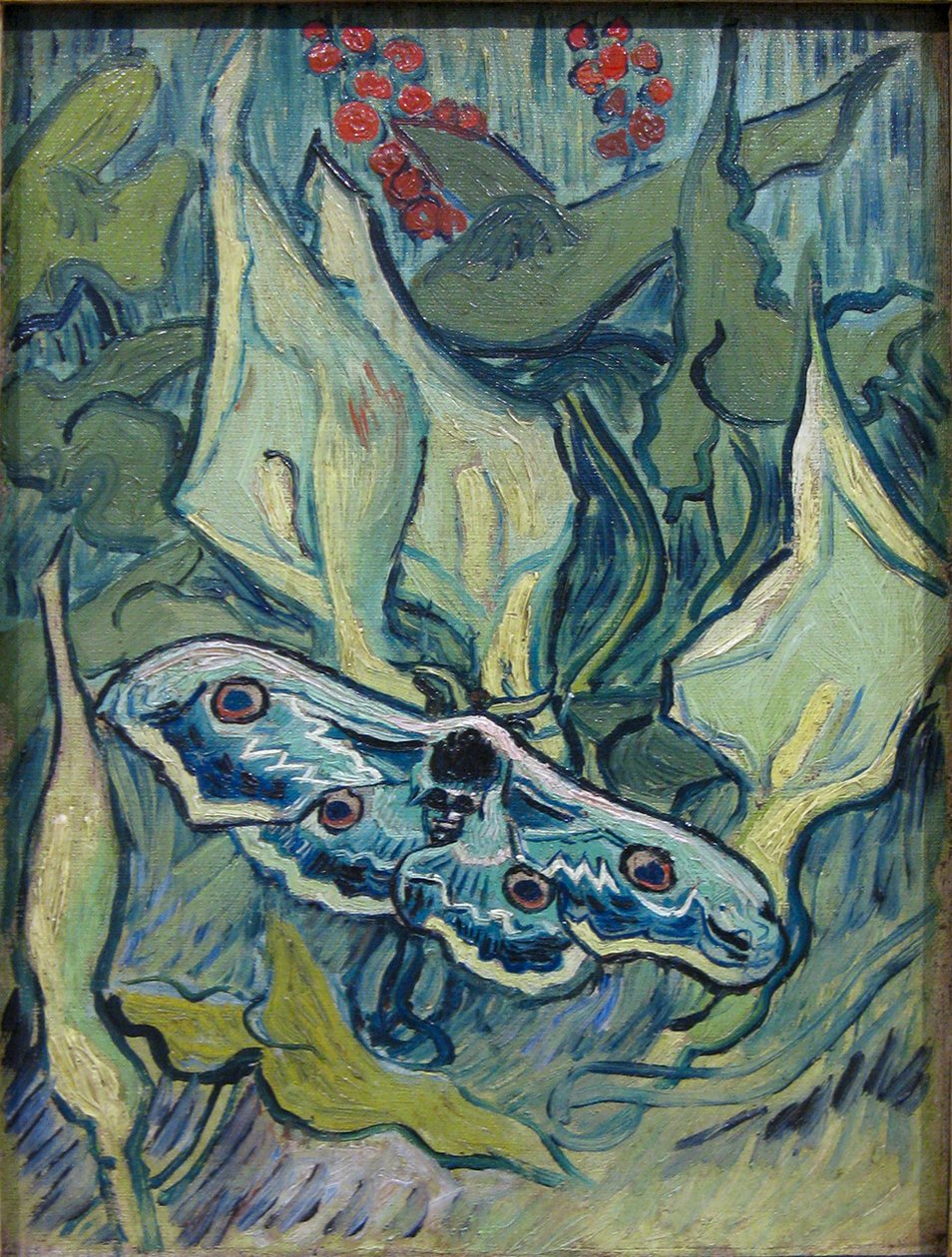 Nachtpauwoog da Vincent van Gogh