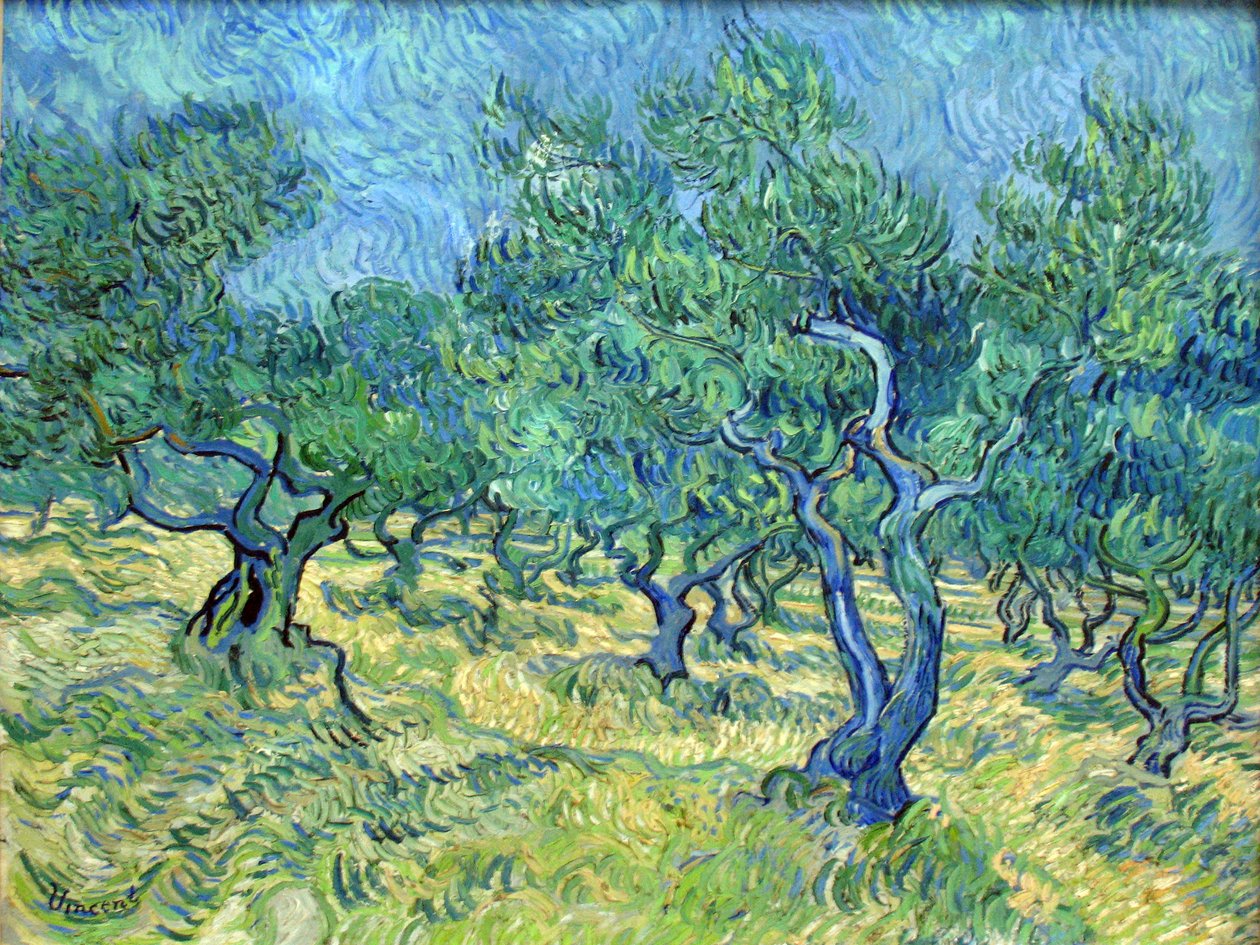 Giardino di ulivi da Vincent van Gogh