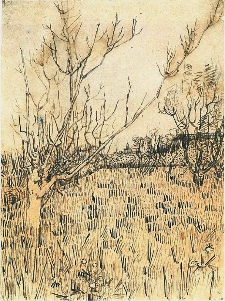 Frutteto con Arles sullo sfondo da Vincent van Gogh