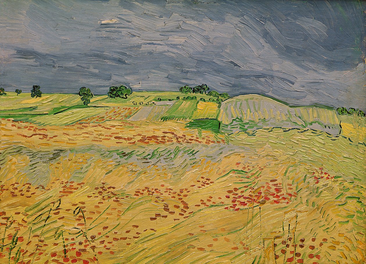 Pianura ad Auvers, 1890 da Vincent van Gogh