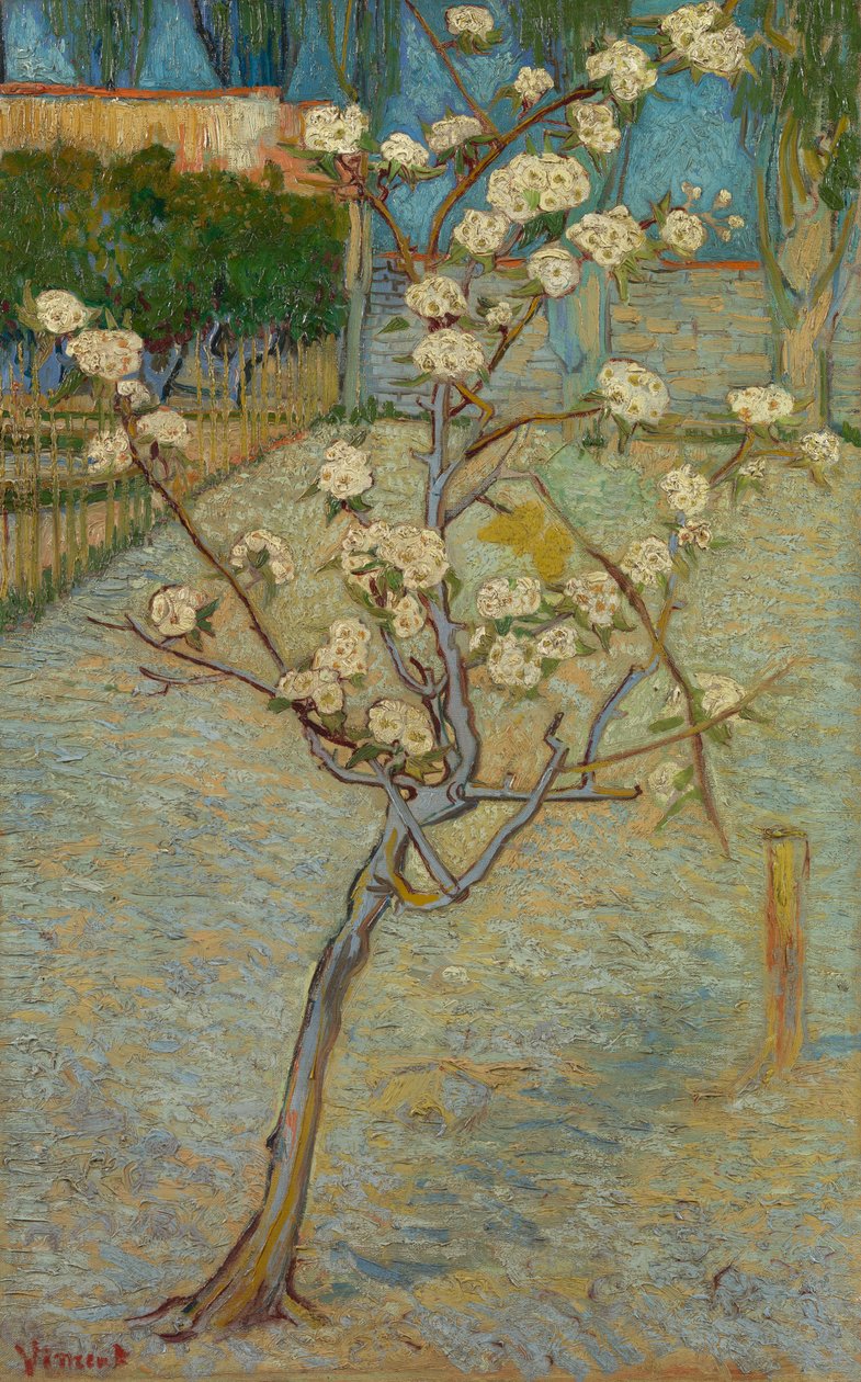 Piccolo albero di pero in fiore da Vincent van Gogh