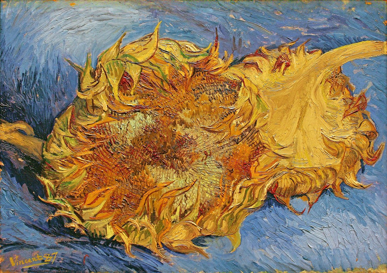 Due girasoli tagliati da Vincent van Gogh