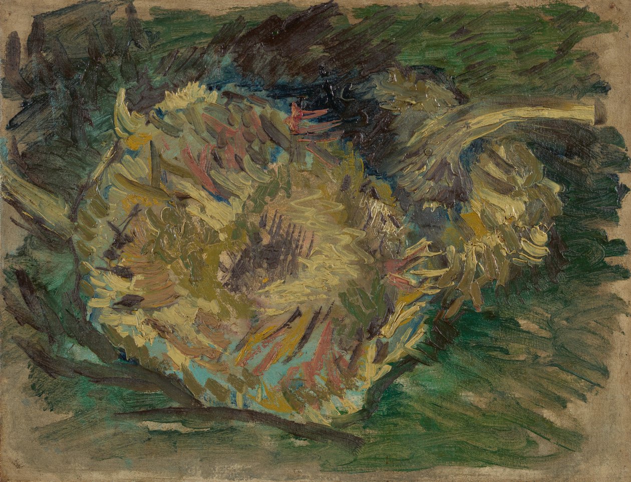 Girasoli andati a seme da Vincent van Gogh