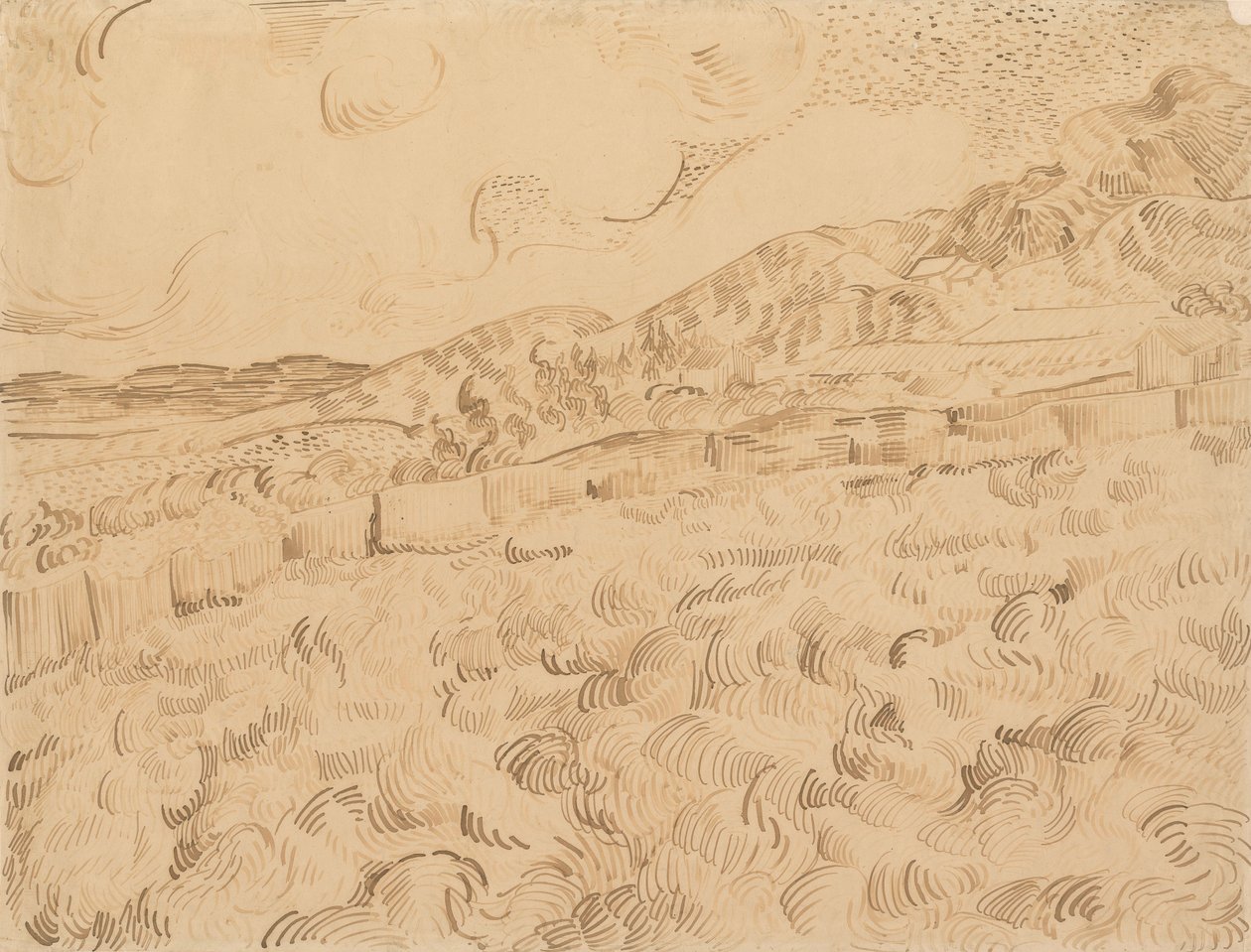 Il campo di grano recintato dopo una tempesta da Vincent van Gogh