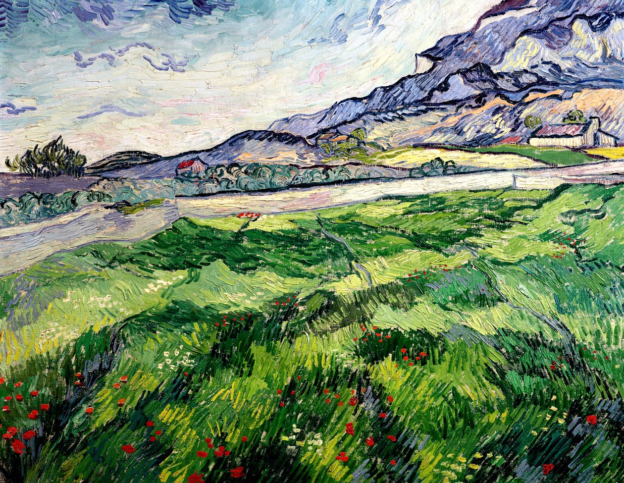 Il campo di grano verde dietro il manicomio, 1889 da Vincent van Gogh
