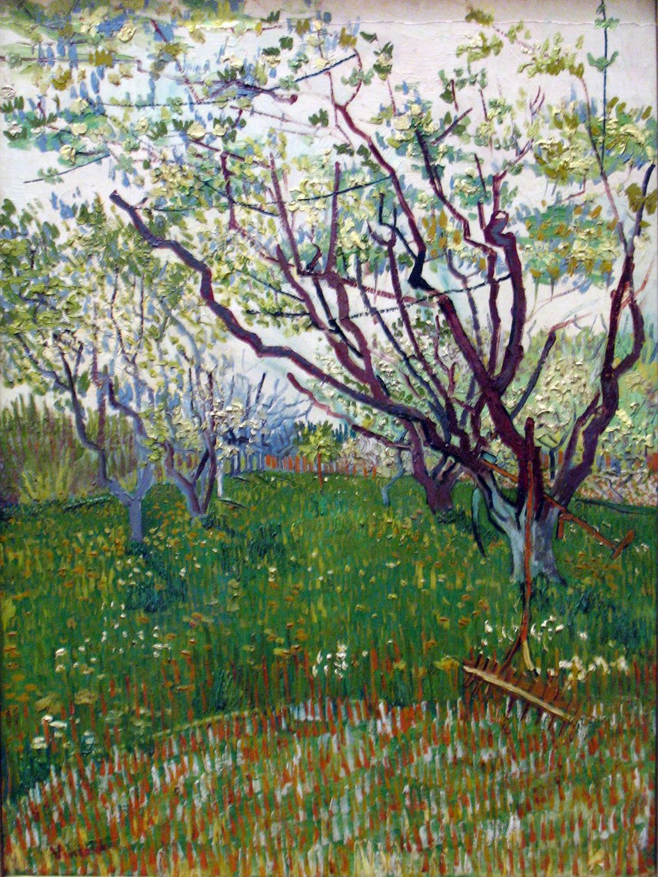 Il frutteto in fiore da Vincent van Gogh
