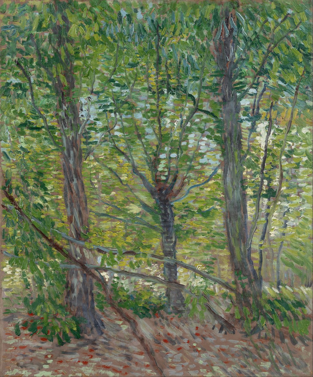 Alberi da Vincent van Gogh