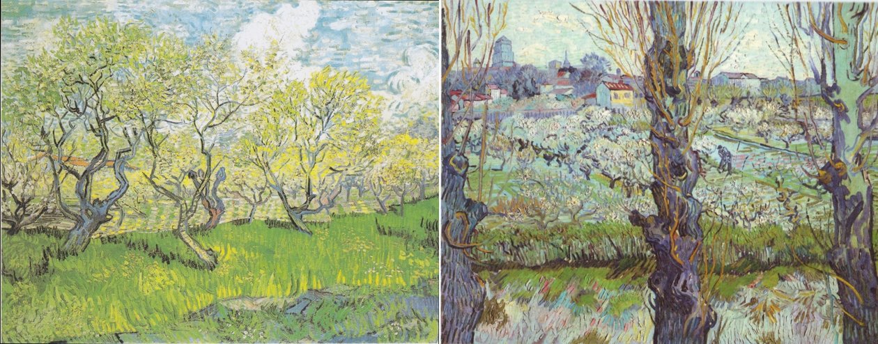 Vergers van Gogh campione da Vincent van Gogh