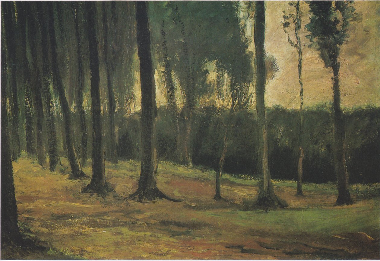 Bordo del Bosco da Vincent van Gogh