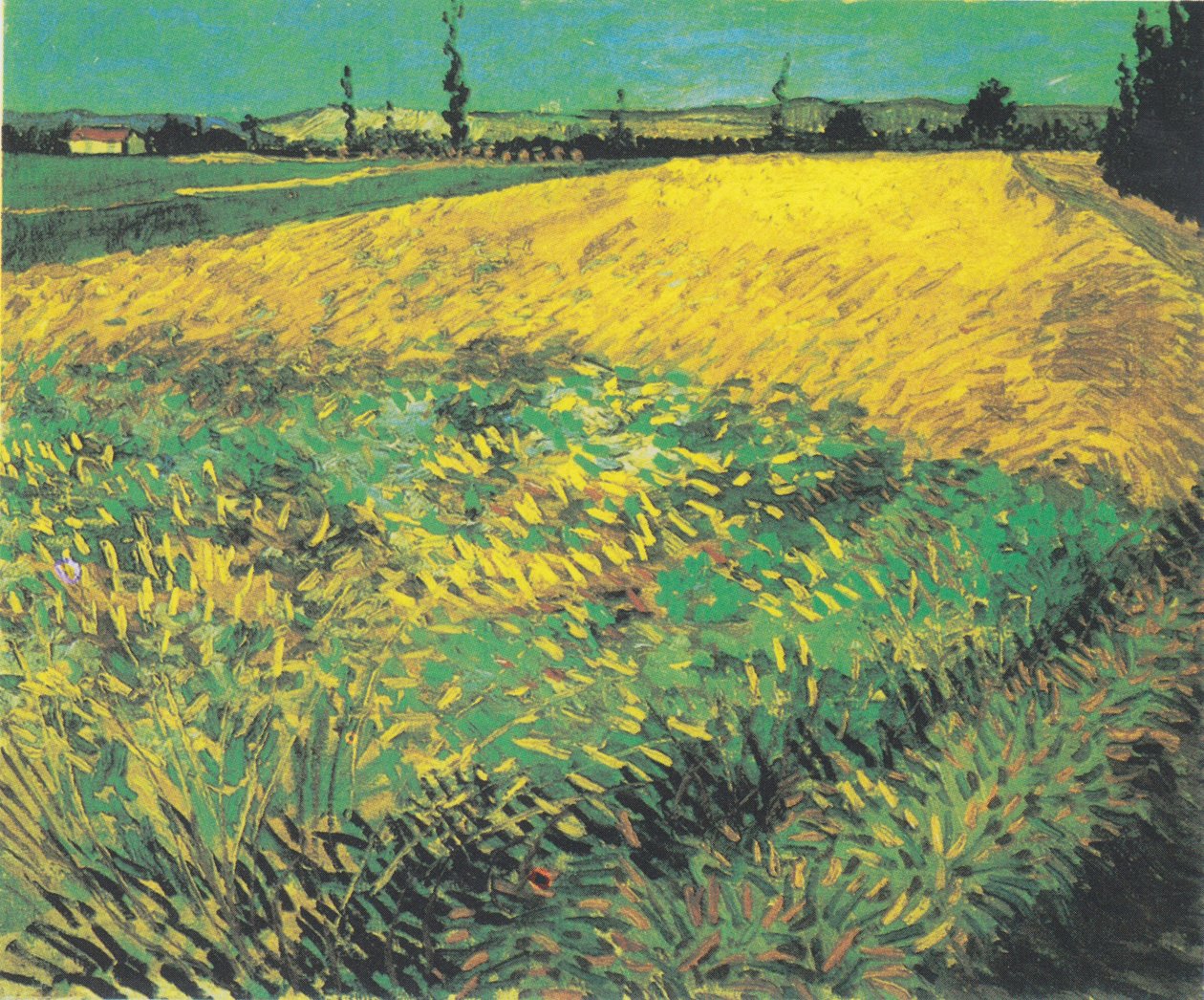 Campo di grano con colline delle Alpilles sullo sfondo da Vincent van Gogh