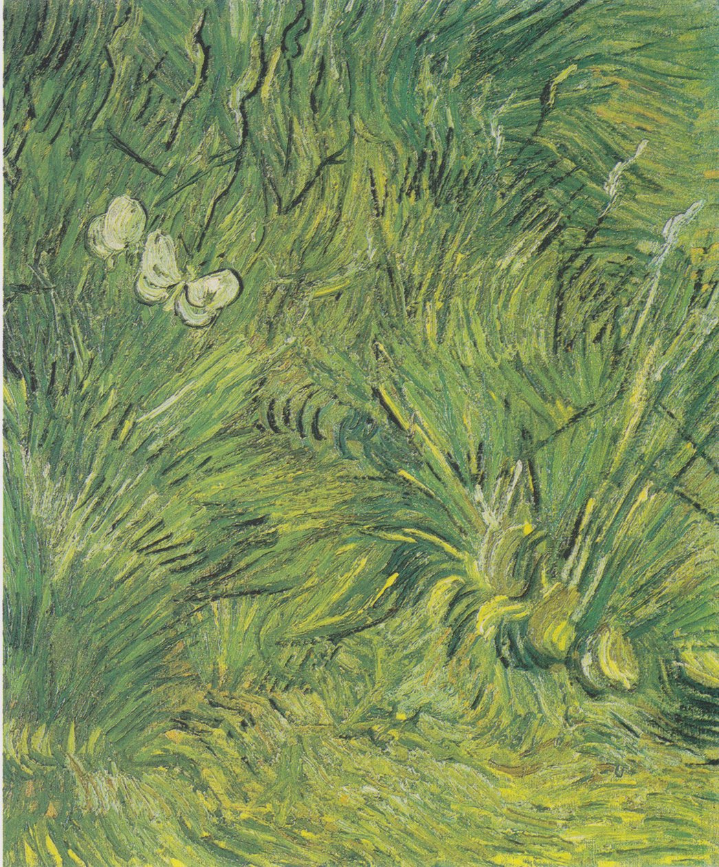 Due farfalle bianche da Vincent van Gogh