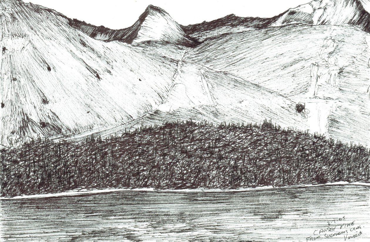 Causey Pike, 2005 da Vincent Alexander Booth