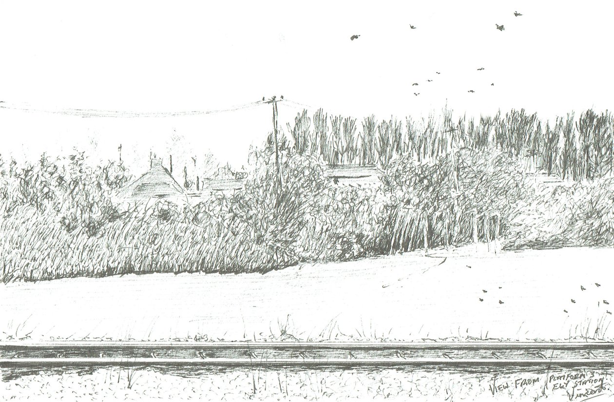 Vista della stazione di Ely dalla piattaforma 3 da Vincent Alexander Booth
