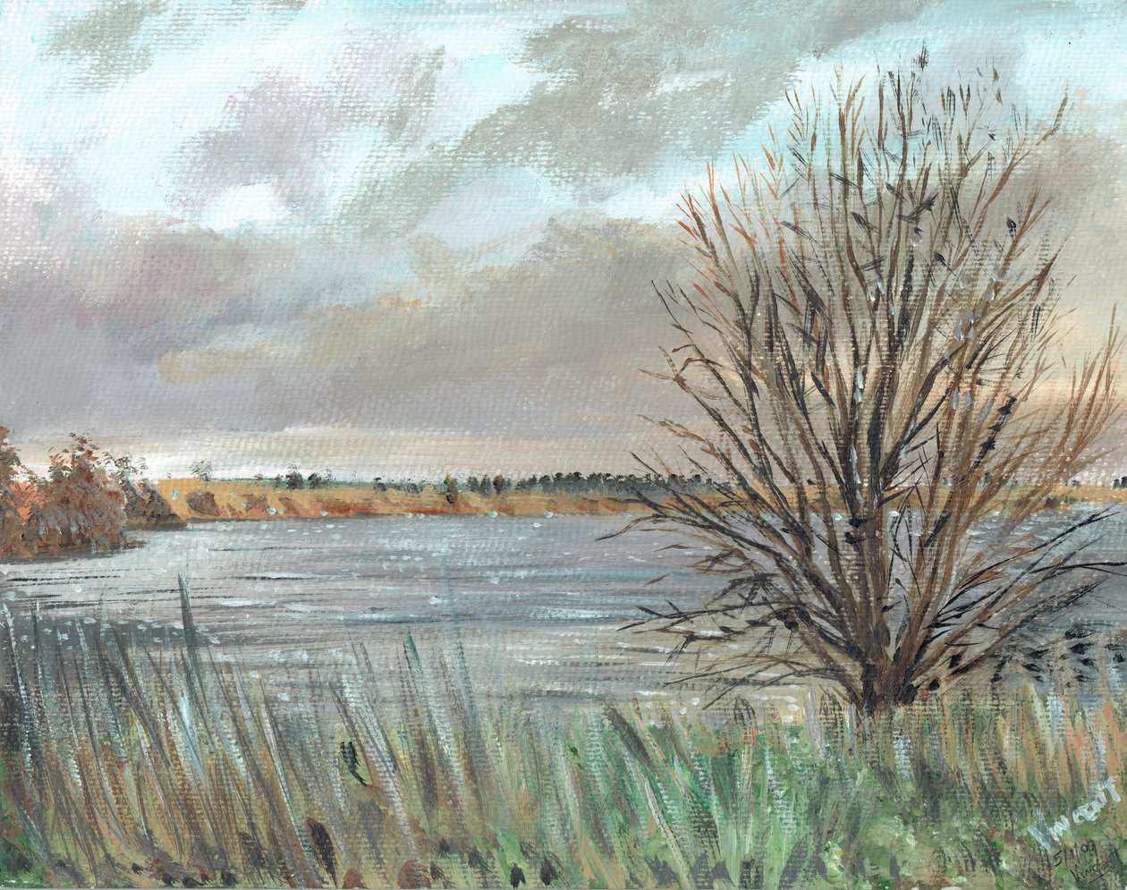 Fannyside Loch, 2009 da Vincent Alexander Booth