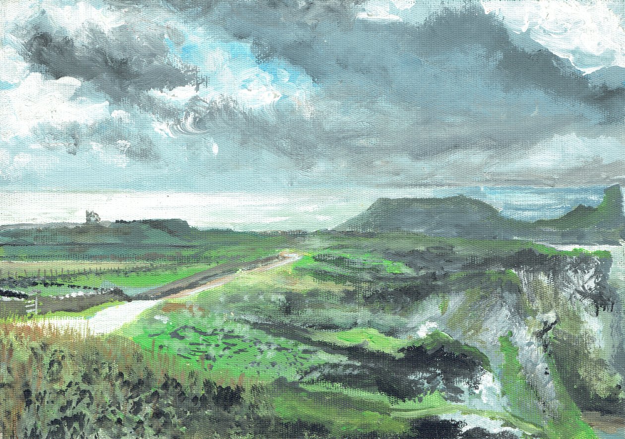 Gower Point, 1991 da Vincent Alexander Booth
