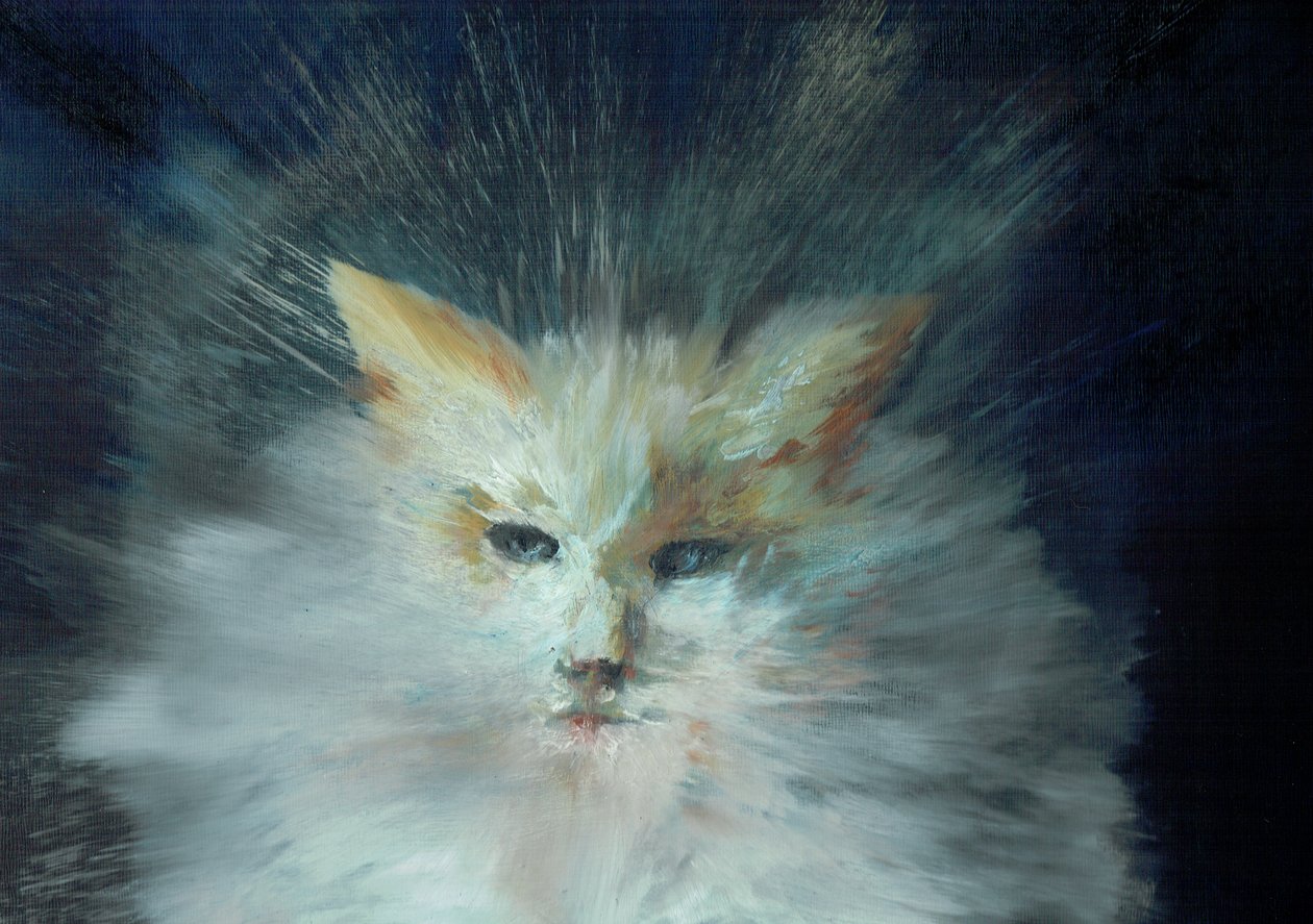 Monty fluffball, 2015 da Vincent Alexander Booth