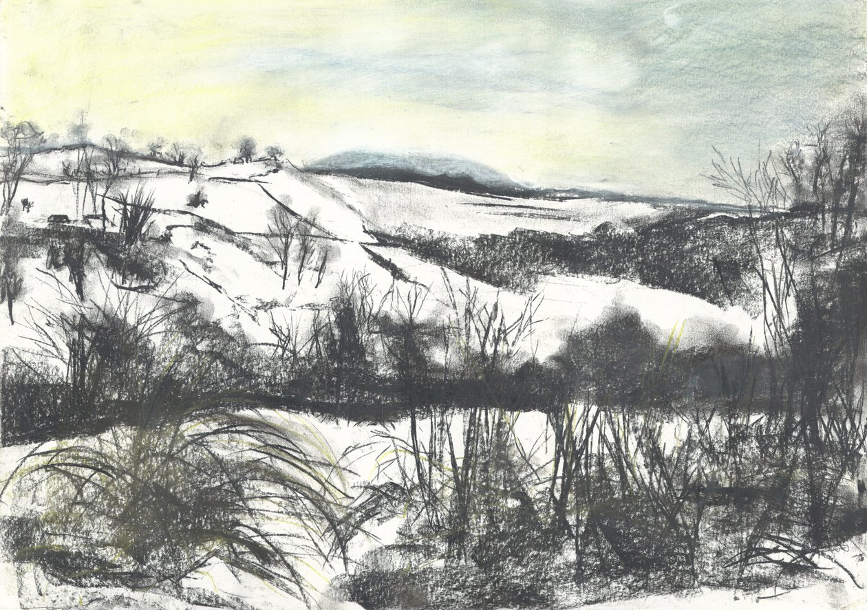 Paesaggio invernale a Osmotherley da Vincent Alexander Booth