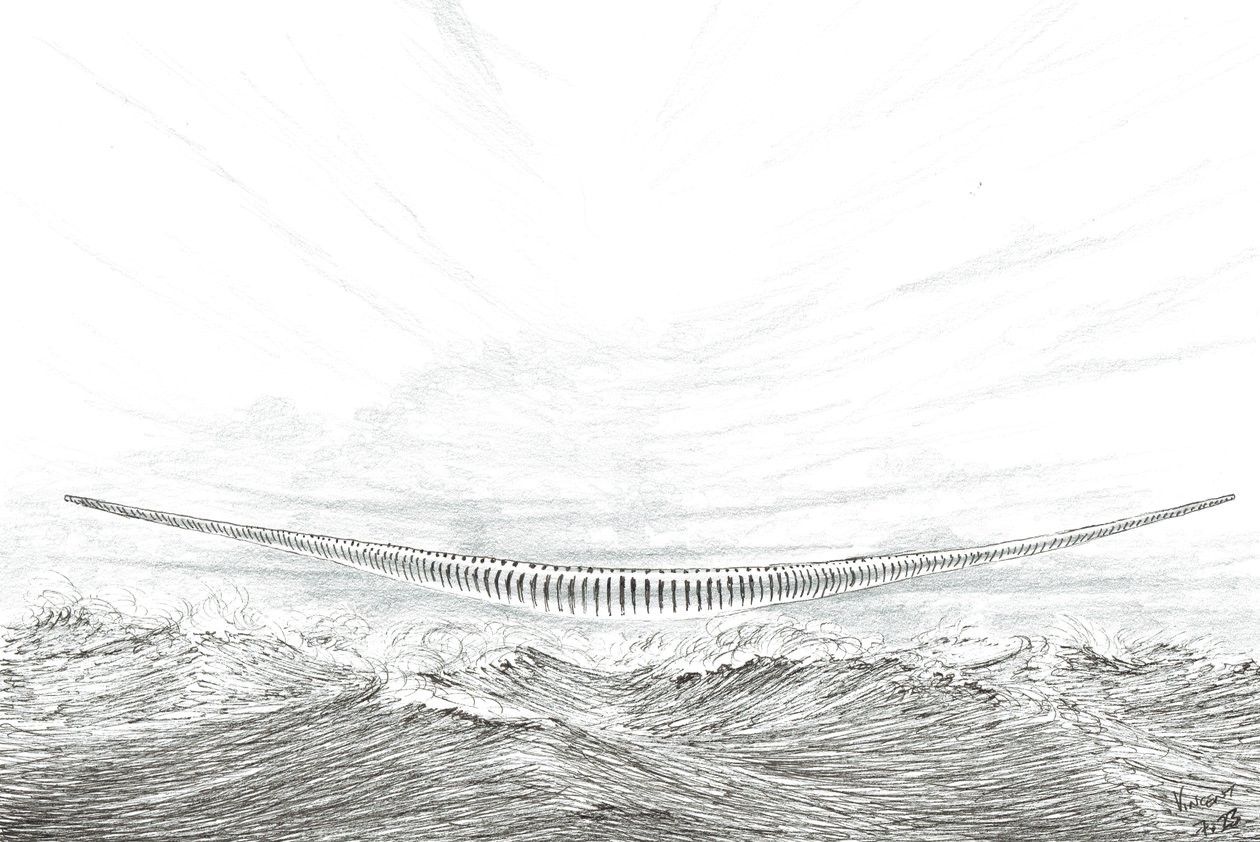 Creatori di Tempeste Cape Leveque da Vincent Alexander Booth