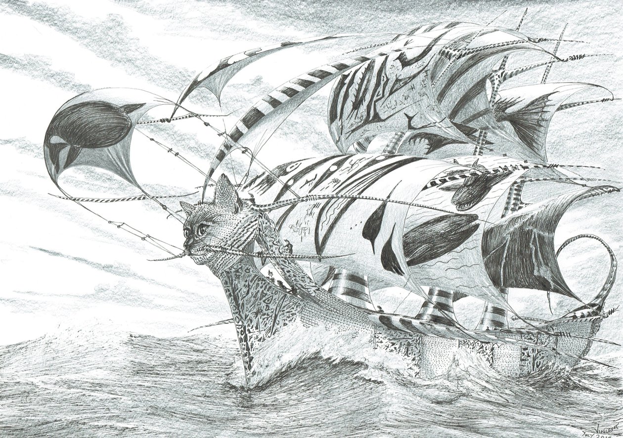 Creatori di tempeste Mare di Chiloé da Vincent Alexander Booth