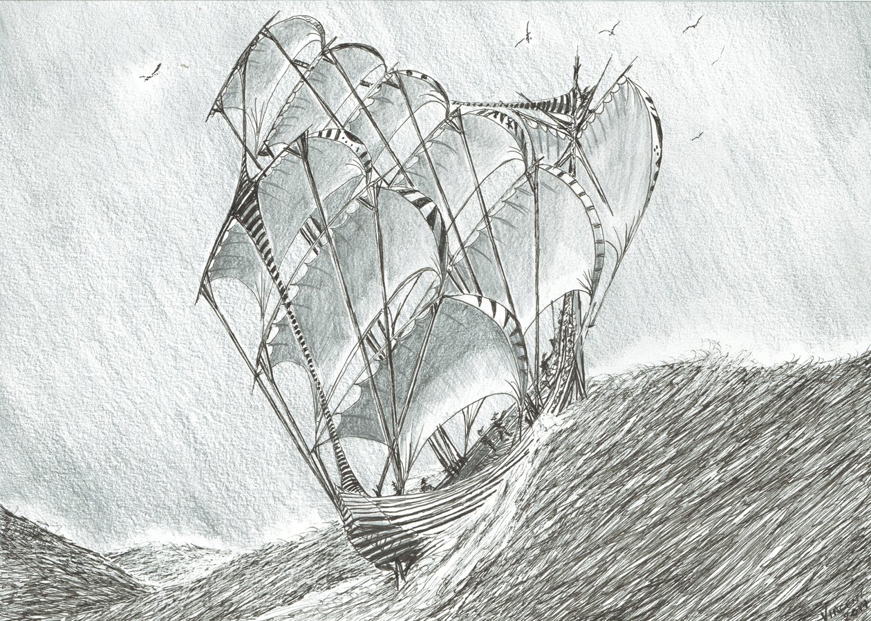 Creatori di tempeste, Mare dei Coralli, 2017 da Vincent Alexander Booth