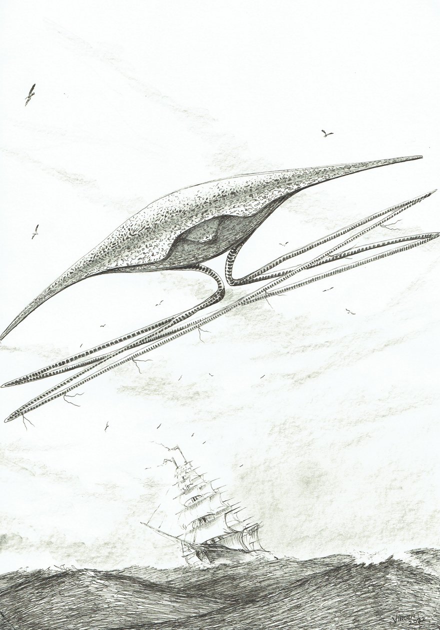 Creatori di tempeste Foxe Basin, 2022 da Vincent Alexander Booth