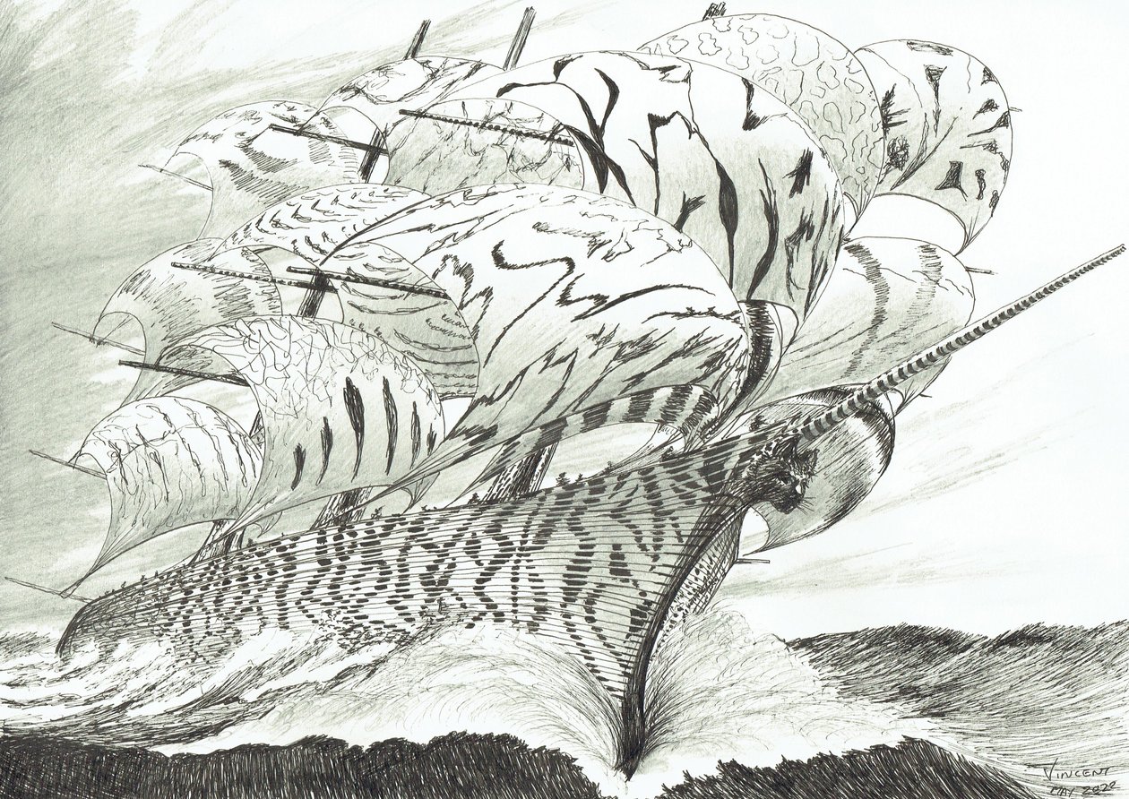 Creatori di Tempeste Lago Kariba da Vincent Alexander Booth