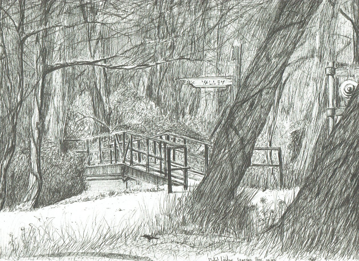 Il vecchio ponte di metallo, parco di Bramhall da Vincent Alexander Booth