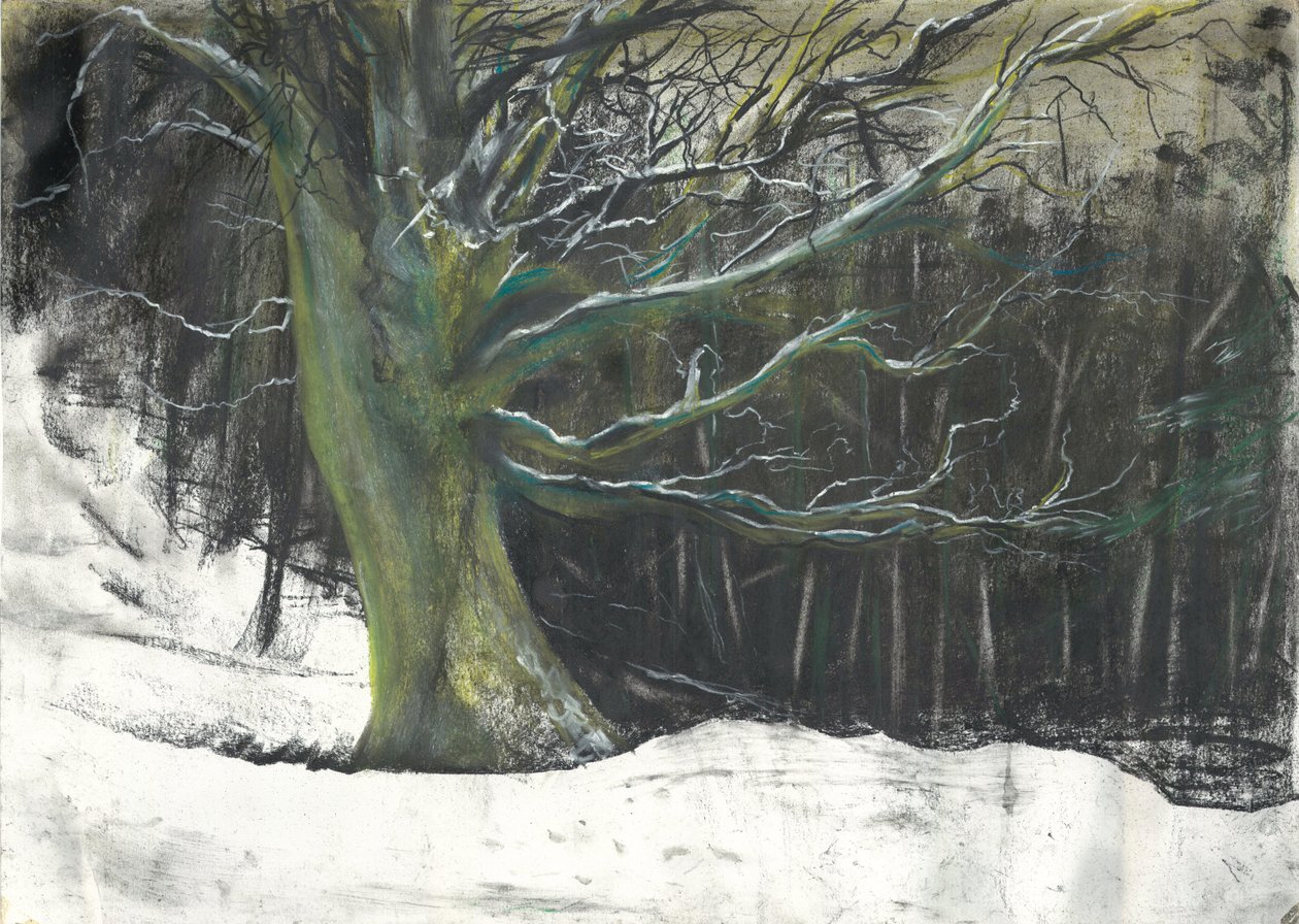 Albero nella neve invernale nei boschi di Osmotherley da Vincent Alexander Booth