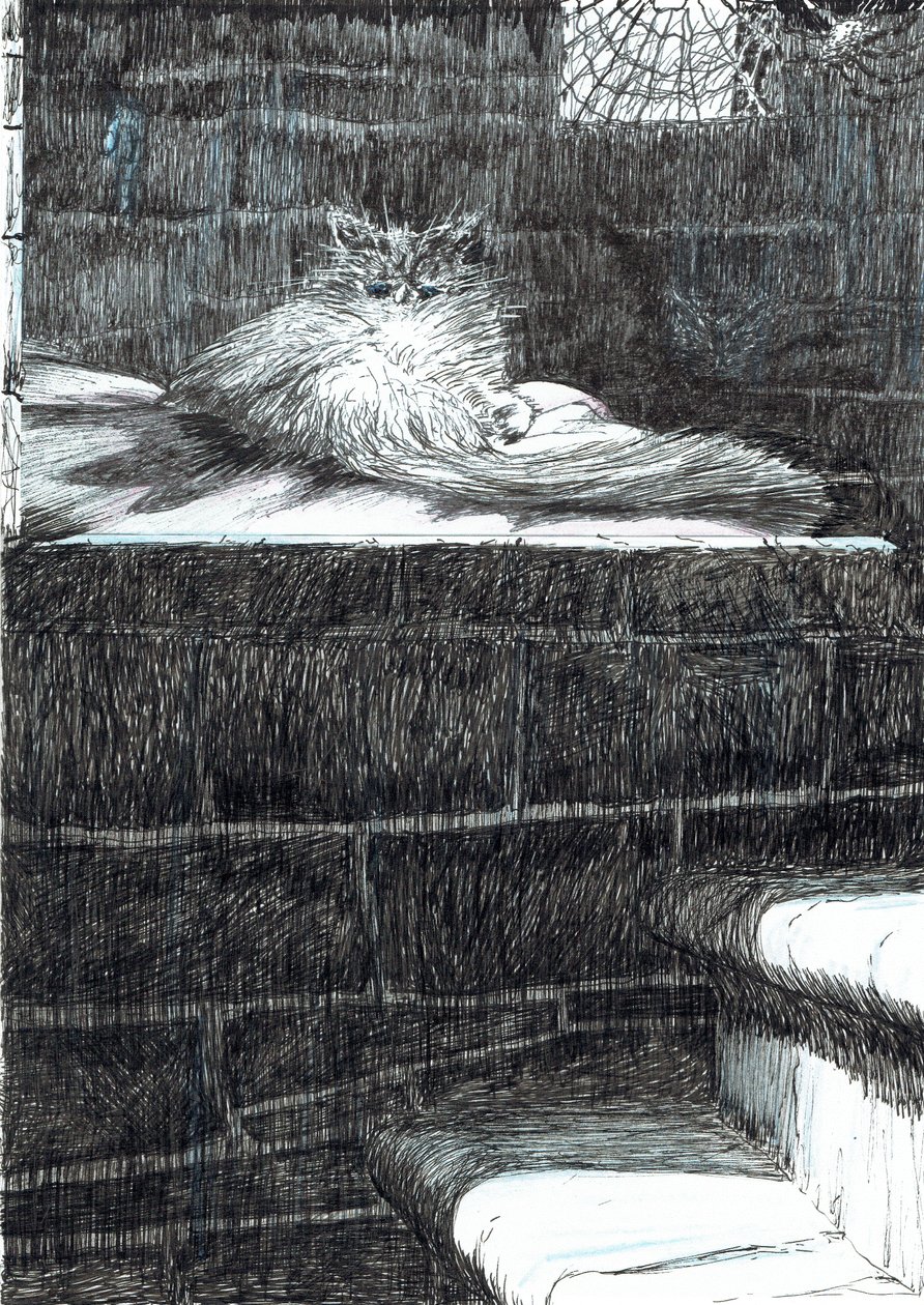 pagina21, Il Castello nella Foresta di Findhorn, 2006 da Vincent Alexander Booth