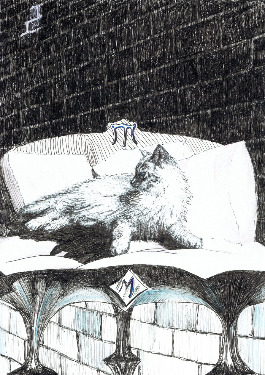 pagina52, Il castello nella foresta di Findhorn, 2006 da Vincent Alexander Booth