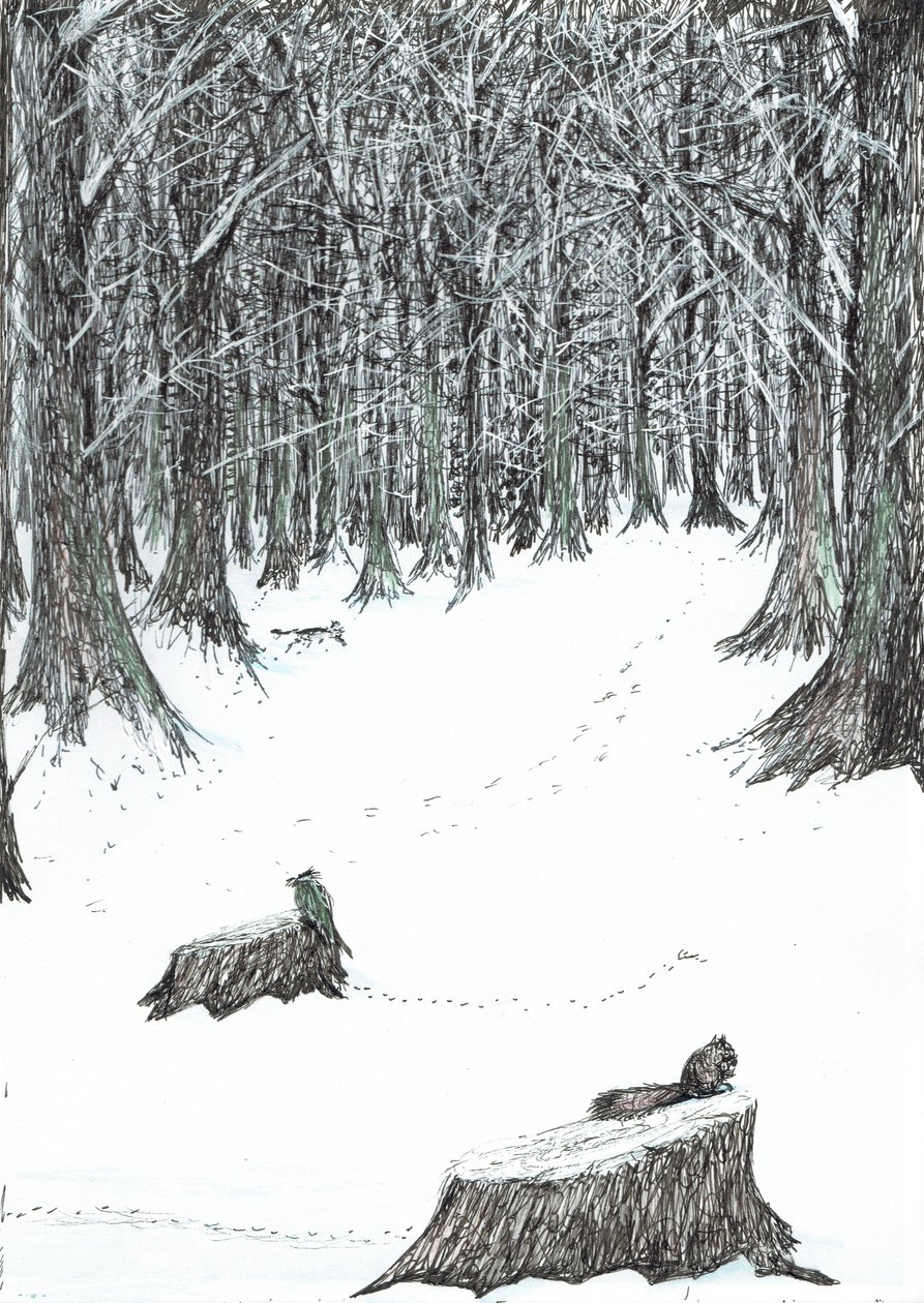 pagina5, Il Castello nella Foresta di Findhorn, 2006 da Vincent Alexander Booth