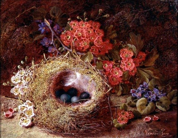 Natura morta con nido di uccelli e fiori da Vincent Clare